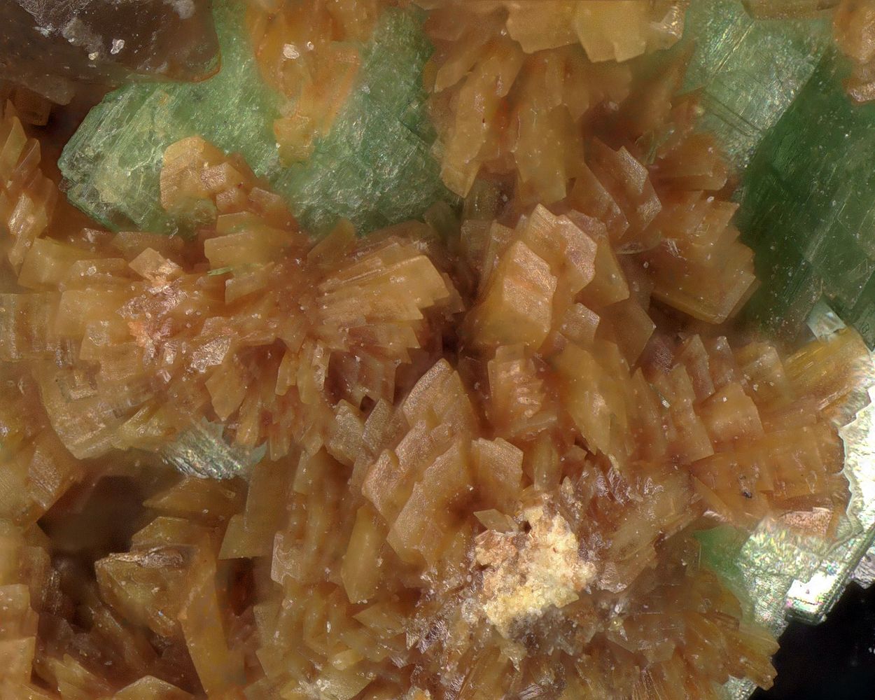 Parsonsite & Torbernite