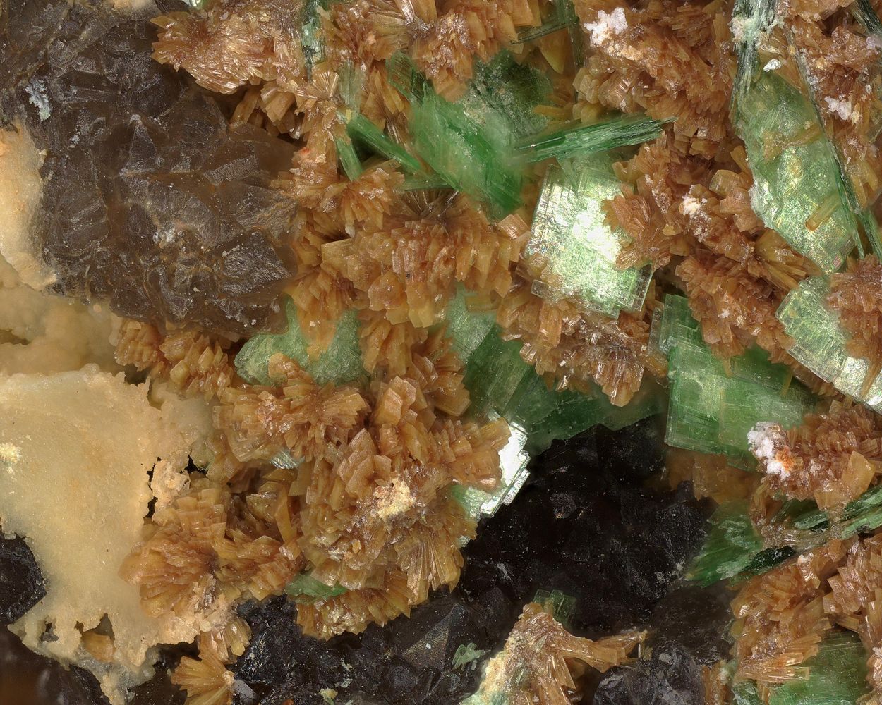 Parsonsite & Torbernite