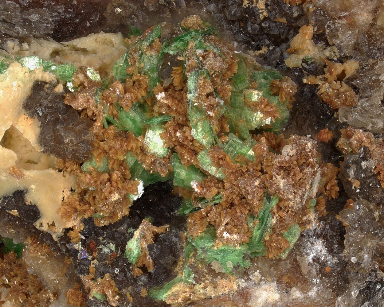 Parsonsite & Torbernite