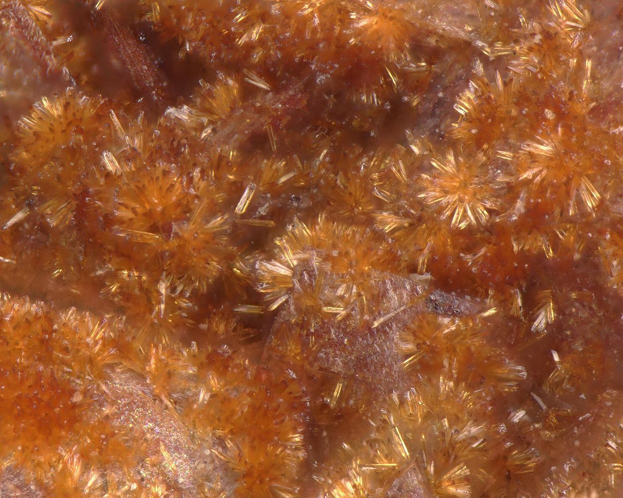 Cobaltlotharmeyerite