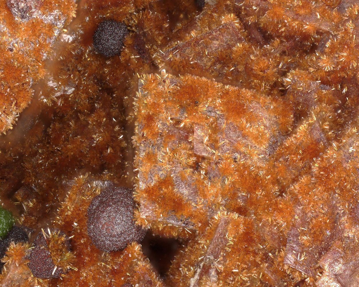 Cobaltlotharmeyerite