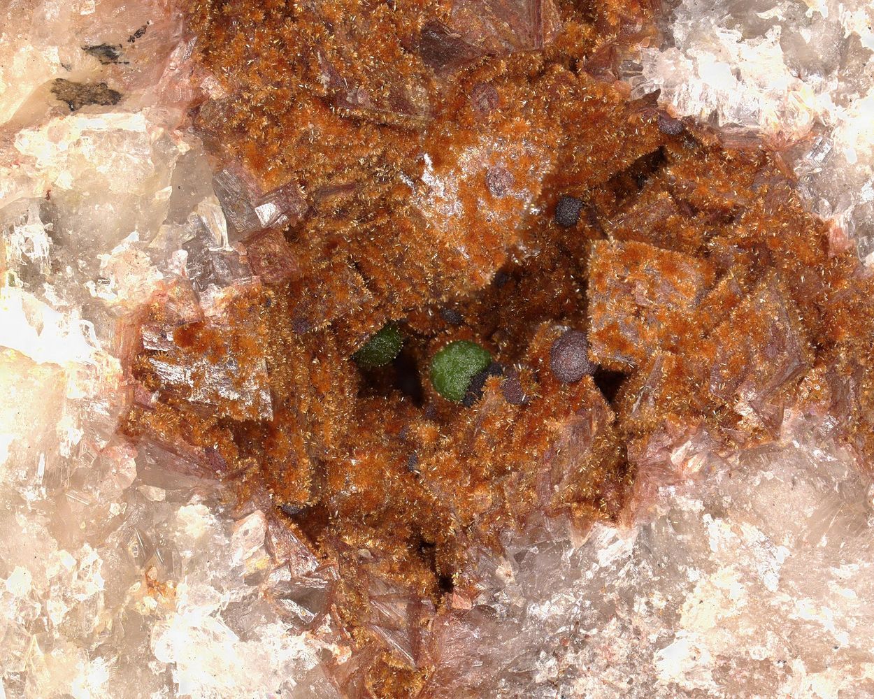 Cobaltlotharmeyerite