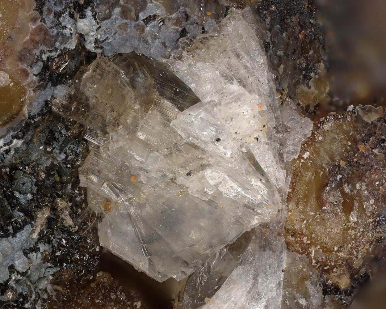Brandtite