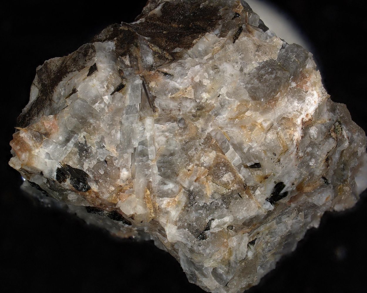 Fluorlamprophyllite