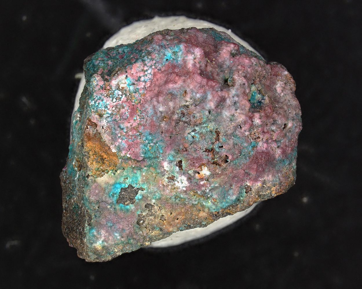 Alfredopetrovite