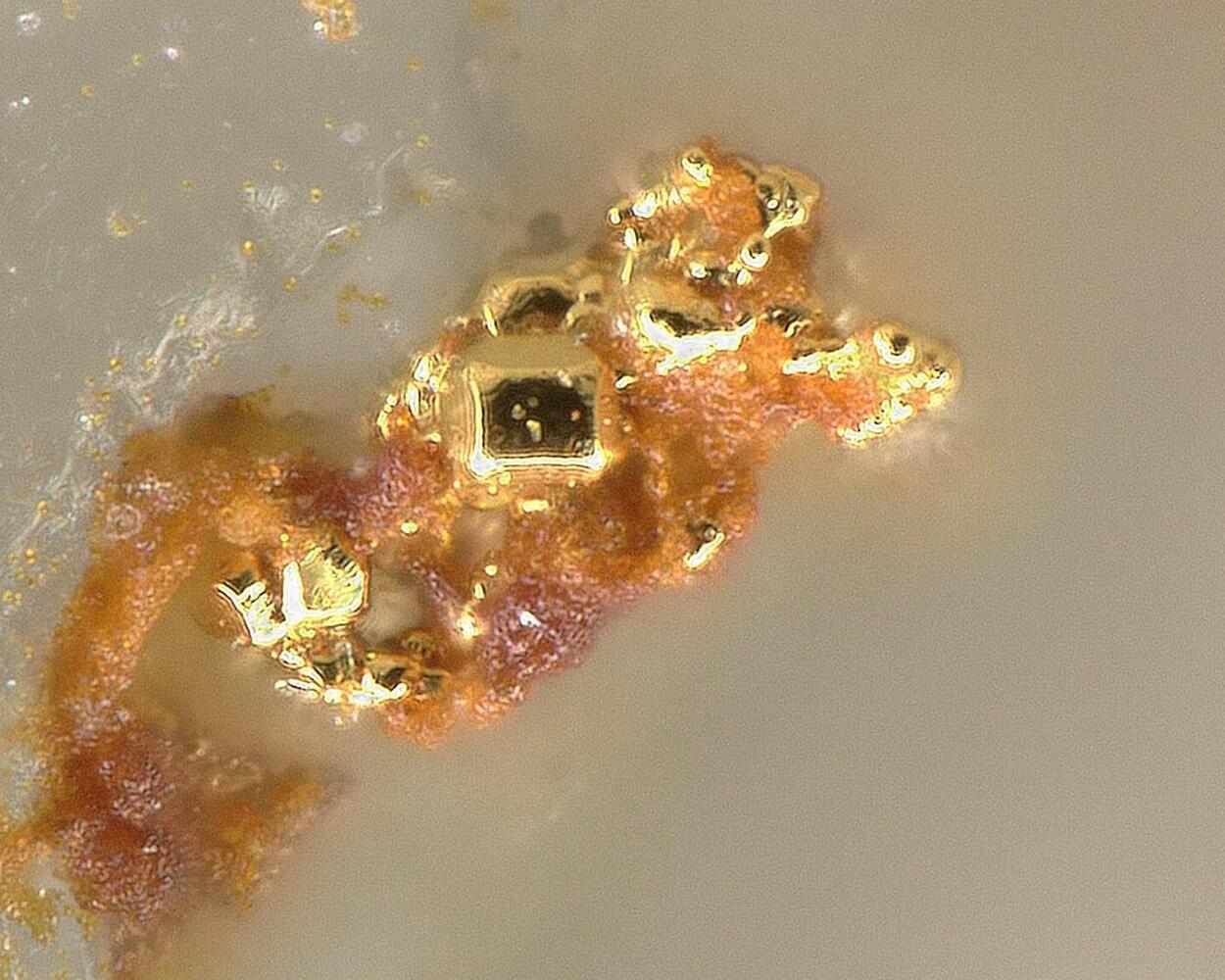 Native Tellurium With Native Gold