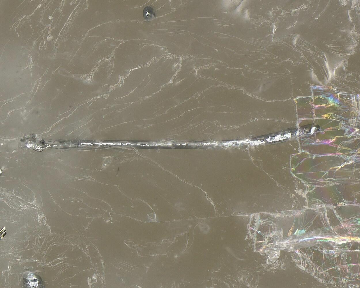 Native Tellurium With Native Gold