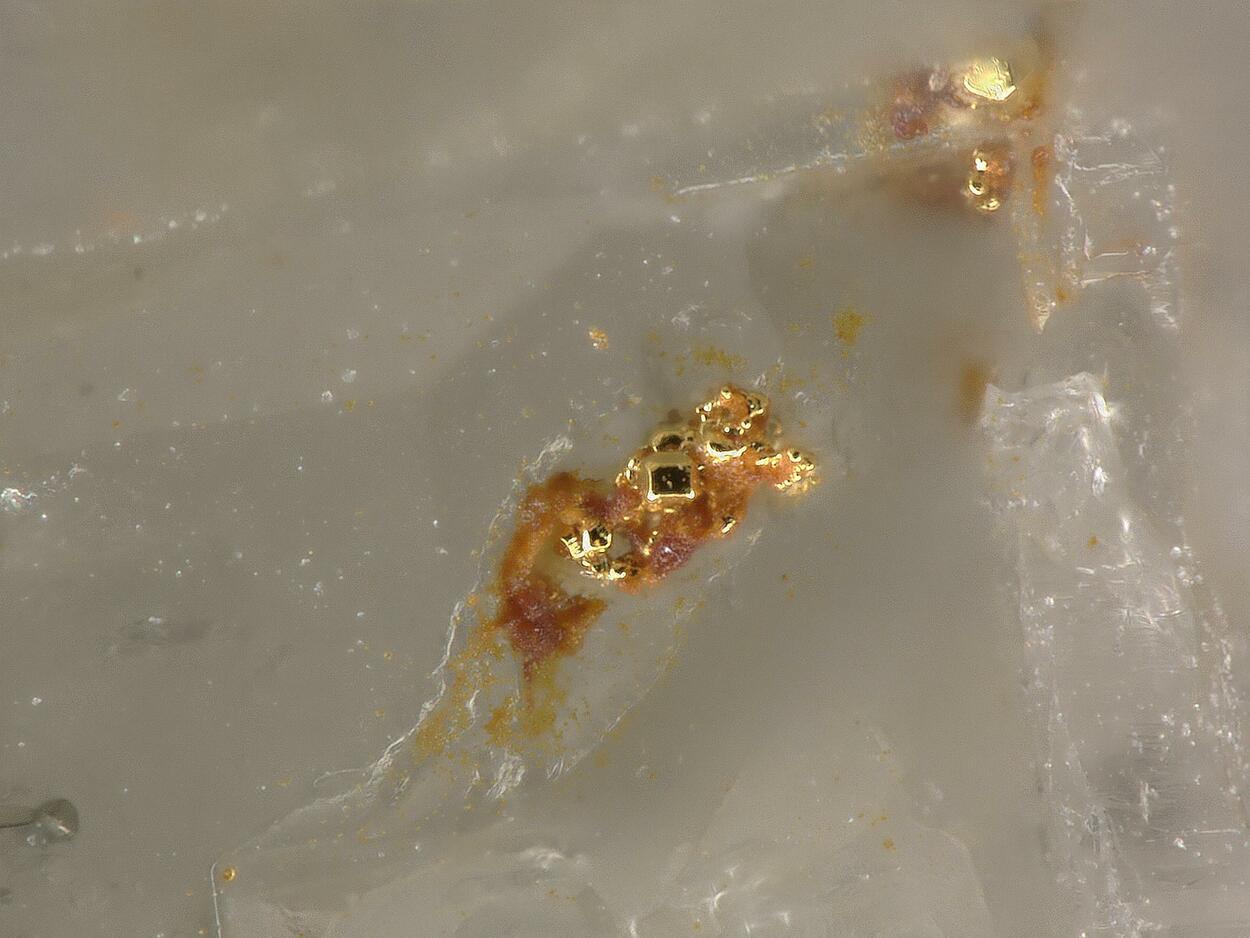 Native Tellurium With Native Gold