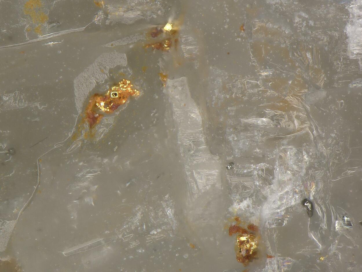 Native Tellurium With Native Gold