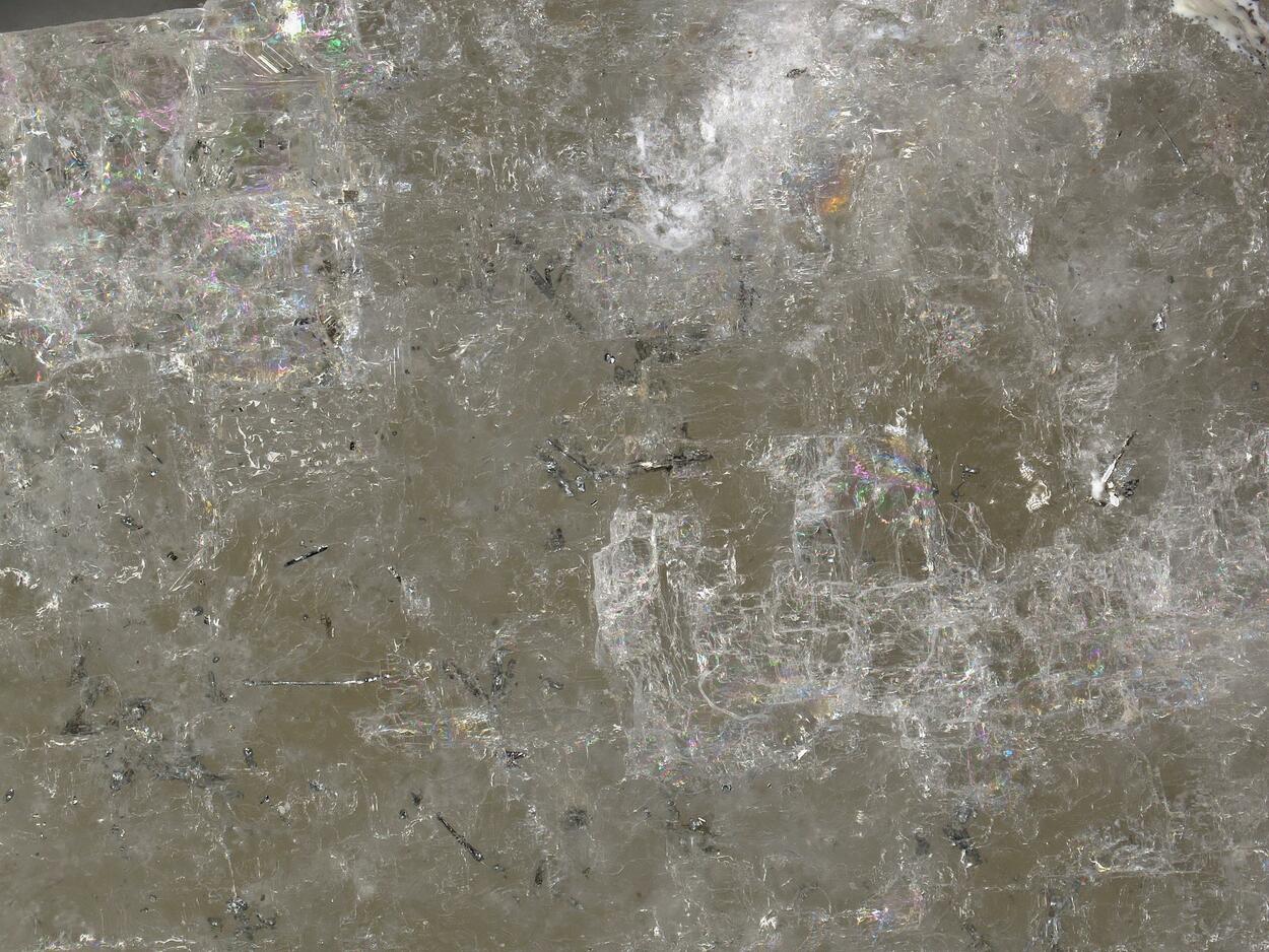 Native Tellurium With Native Gold