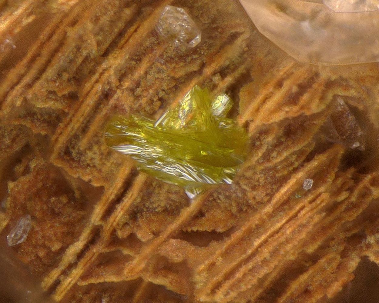 Fornacite