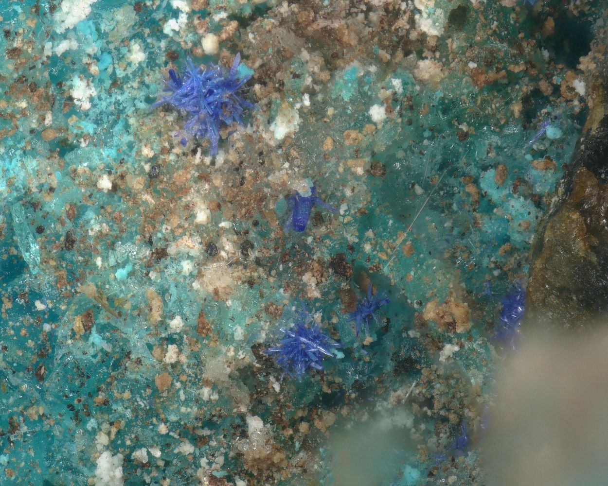 Chanabayaite & Salammoniac