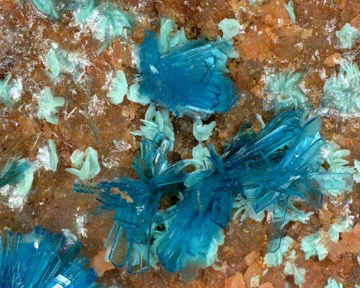 Serpierite & Schulenbergite