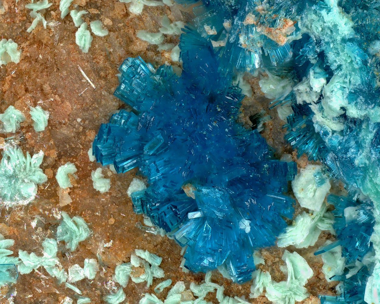 Serpierite & Schulenbergite
