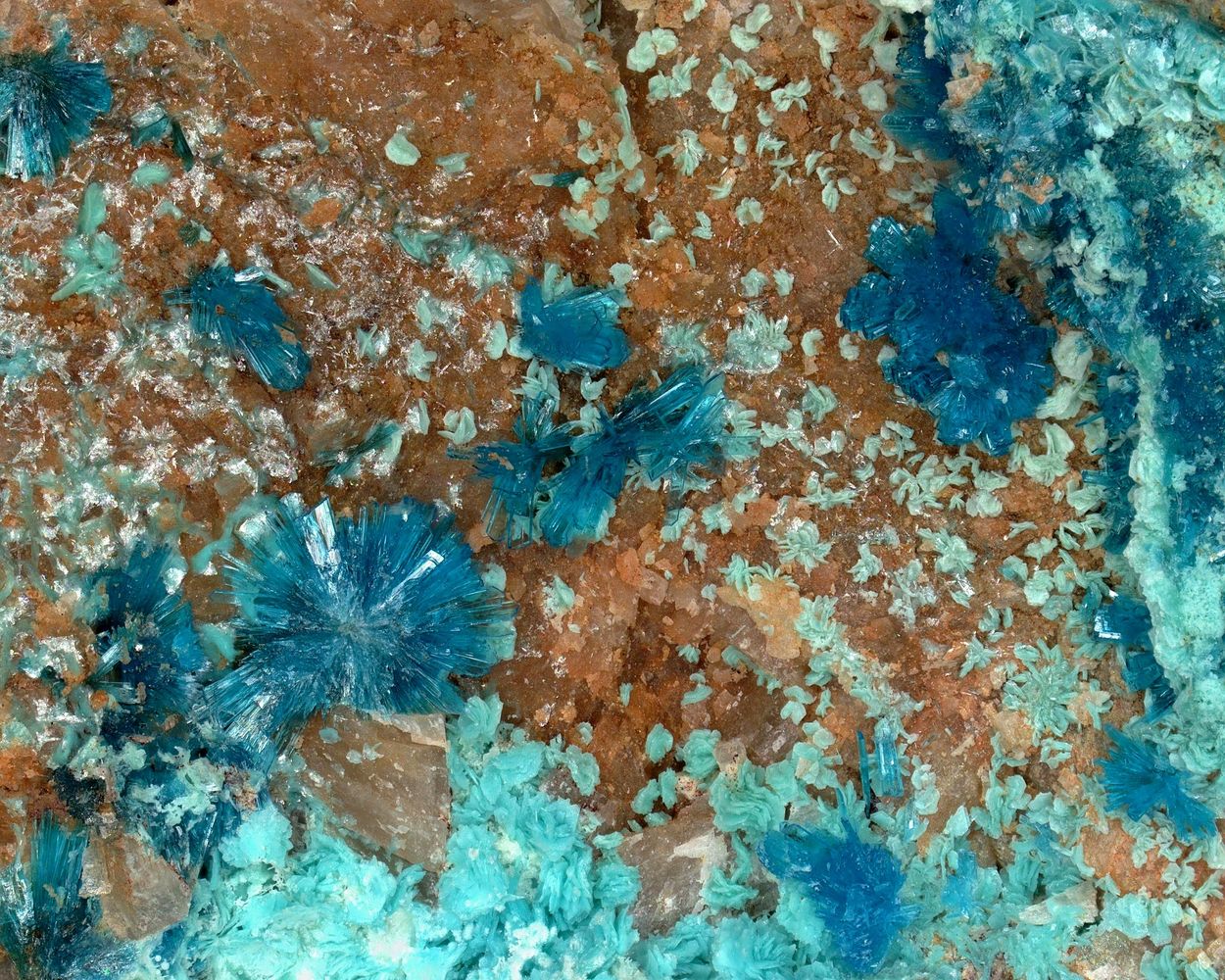 Serpierite & Schulenbergite