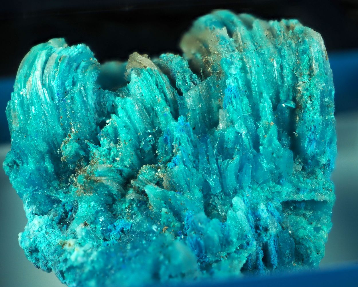 Chanabayaite & Salammoniac