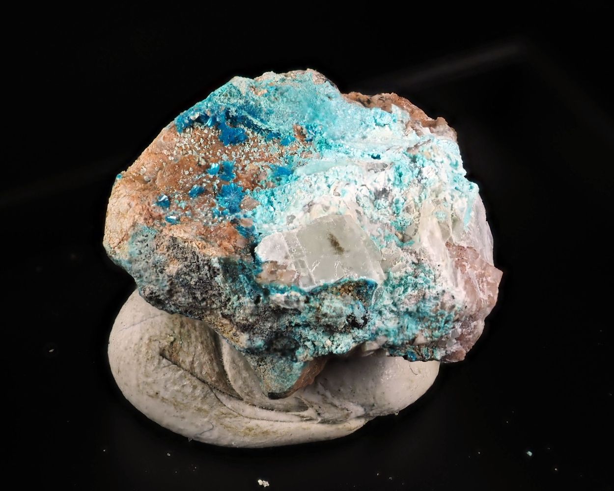 Serpierite & Schulenbergite