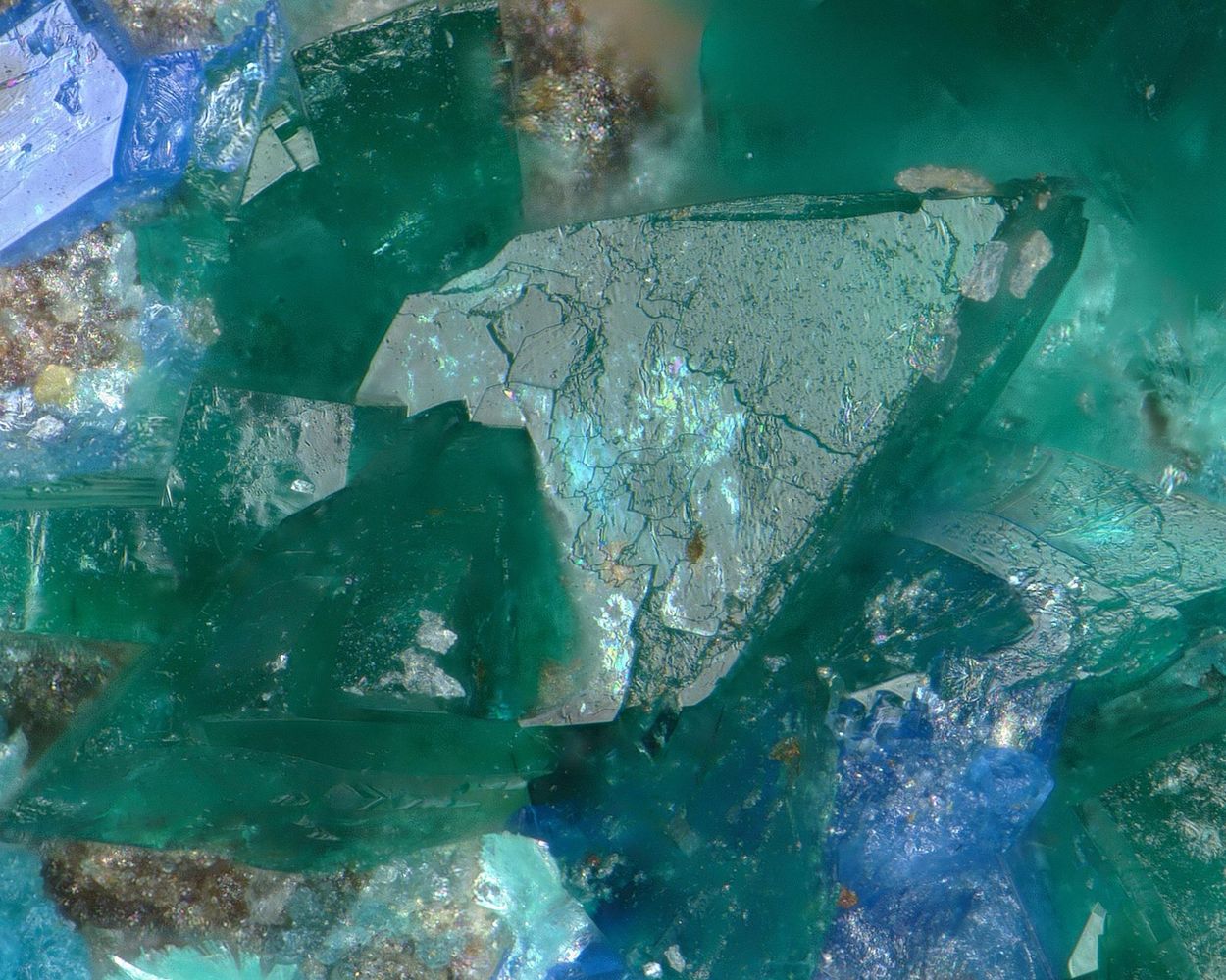 Ramsbeckite & Linarite