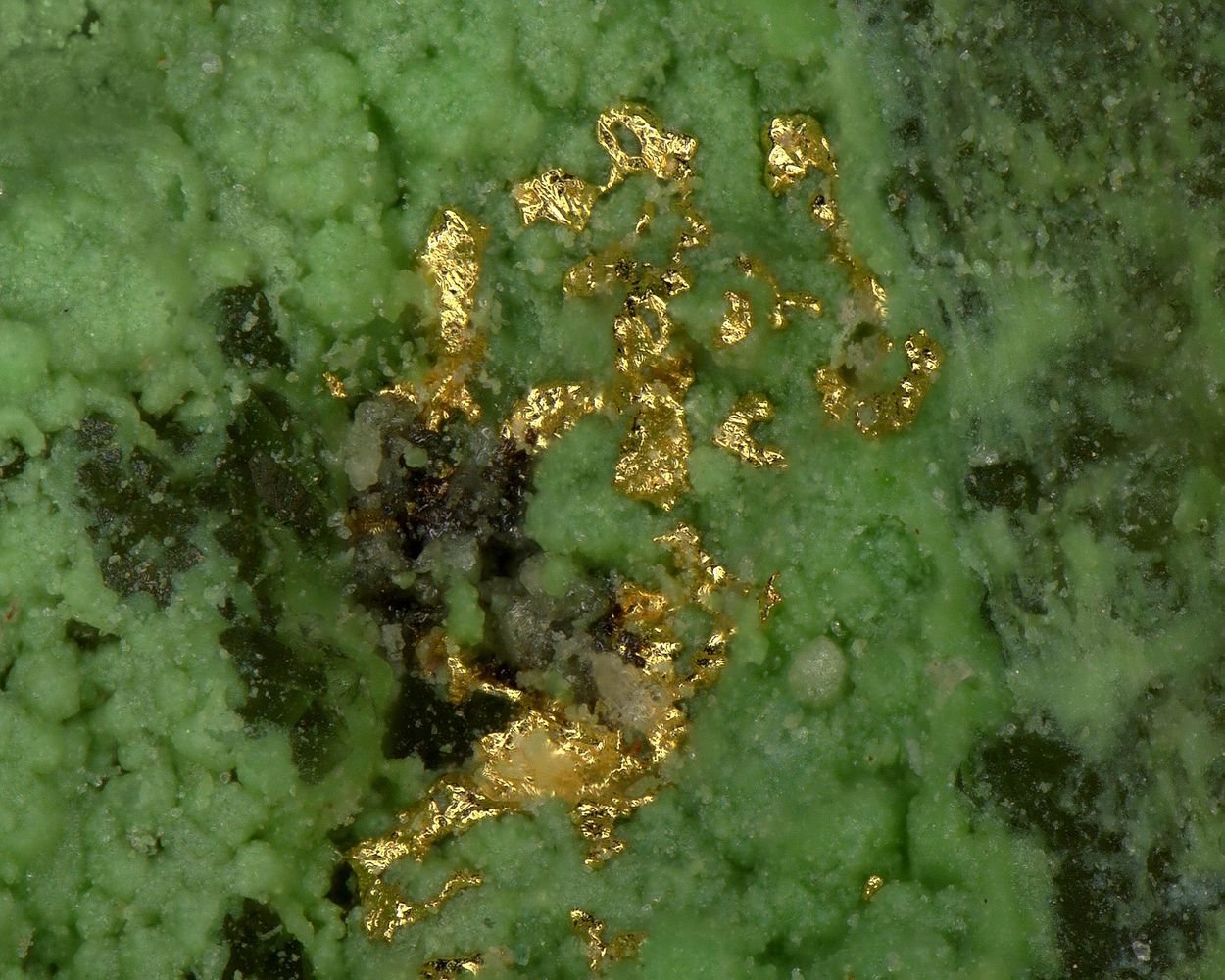 Gold On Chenevixite