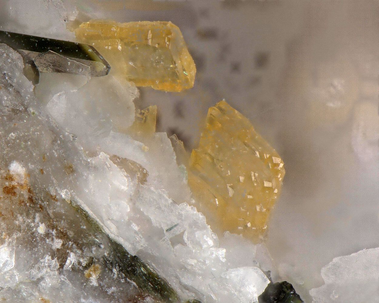 Tsepinite-Na & Labuntsovite-Mn