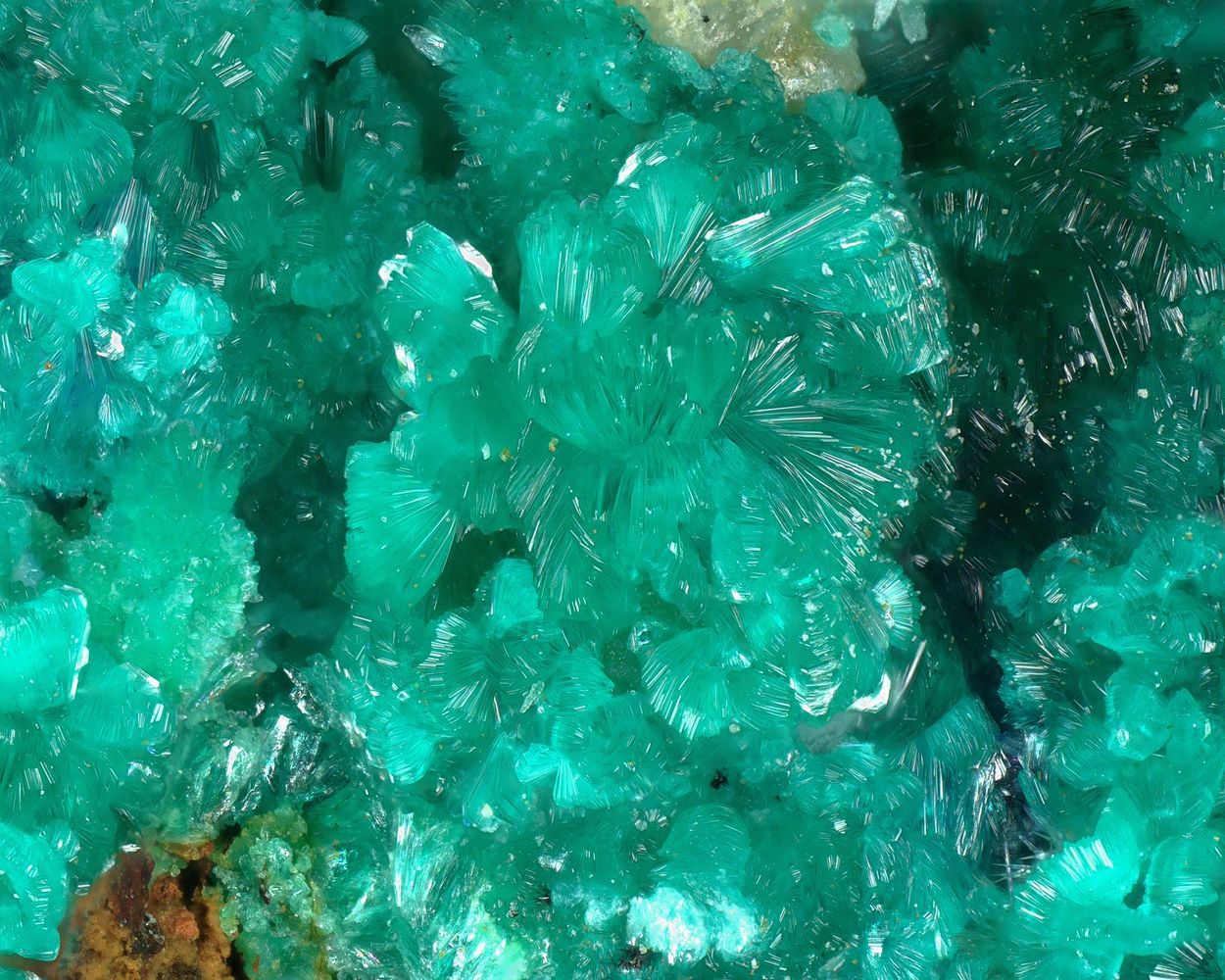 Tangdanite