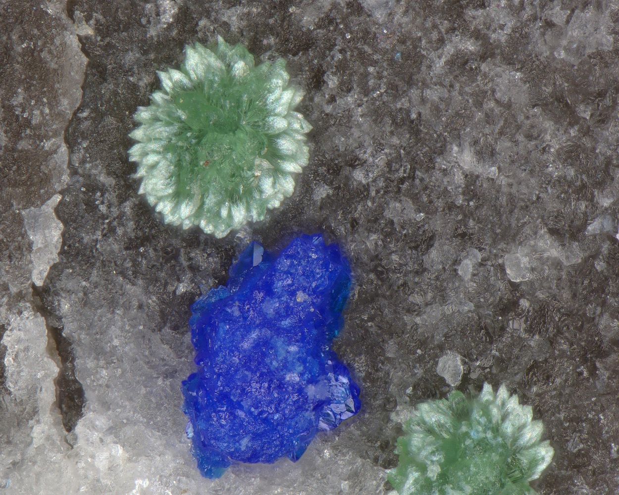 Zincolivenite