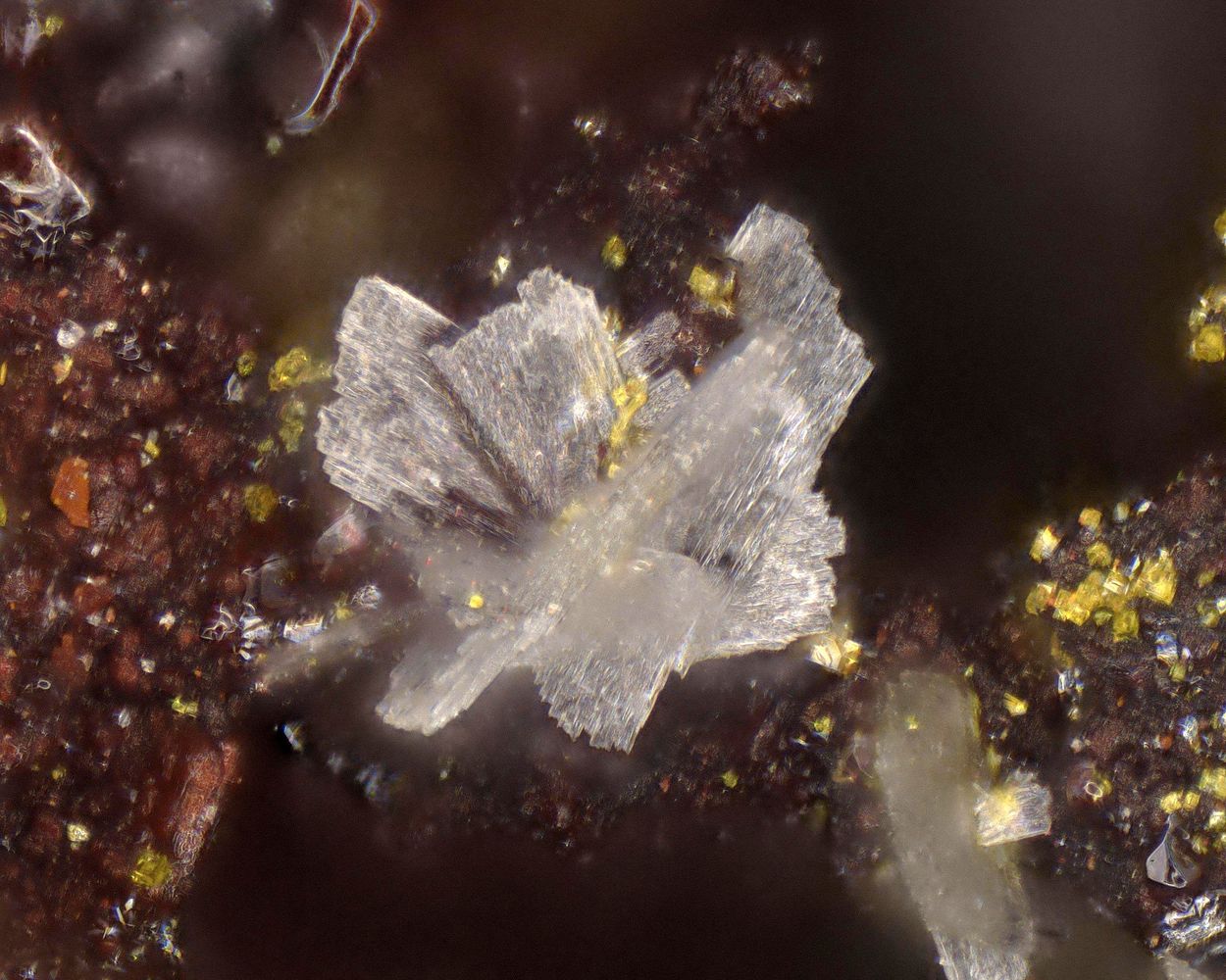 Polyhalite