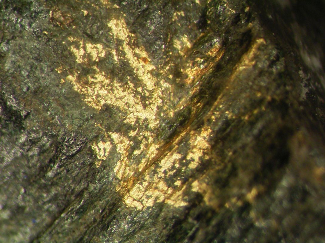 Native Gold In Gneiss