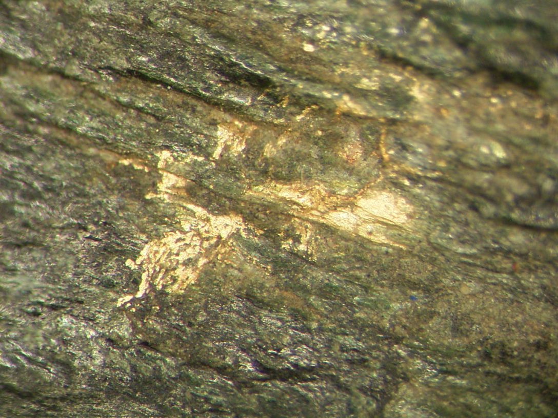 Native Gold In Gneiss