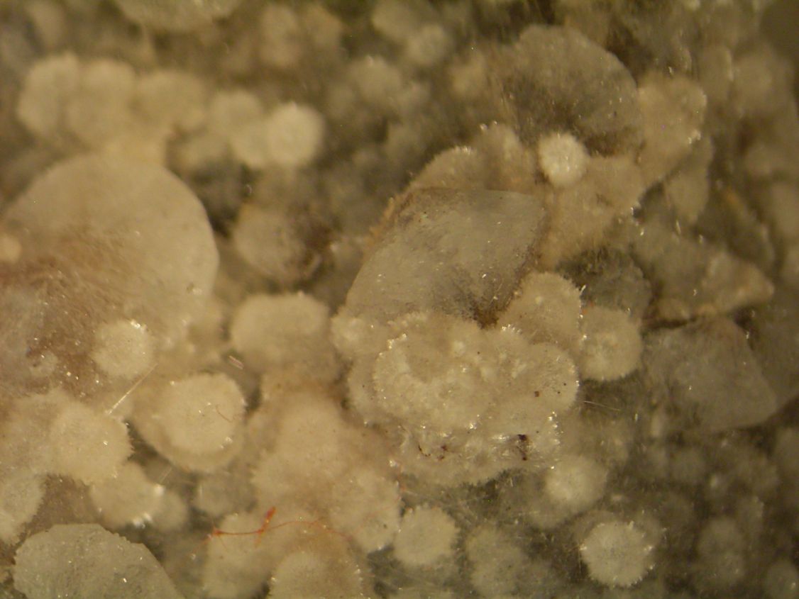 Thomsonite & Chabazite