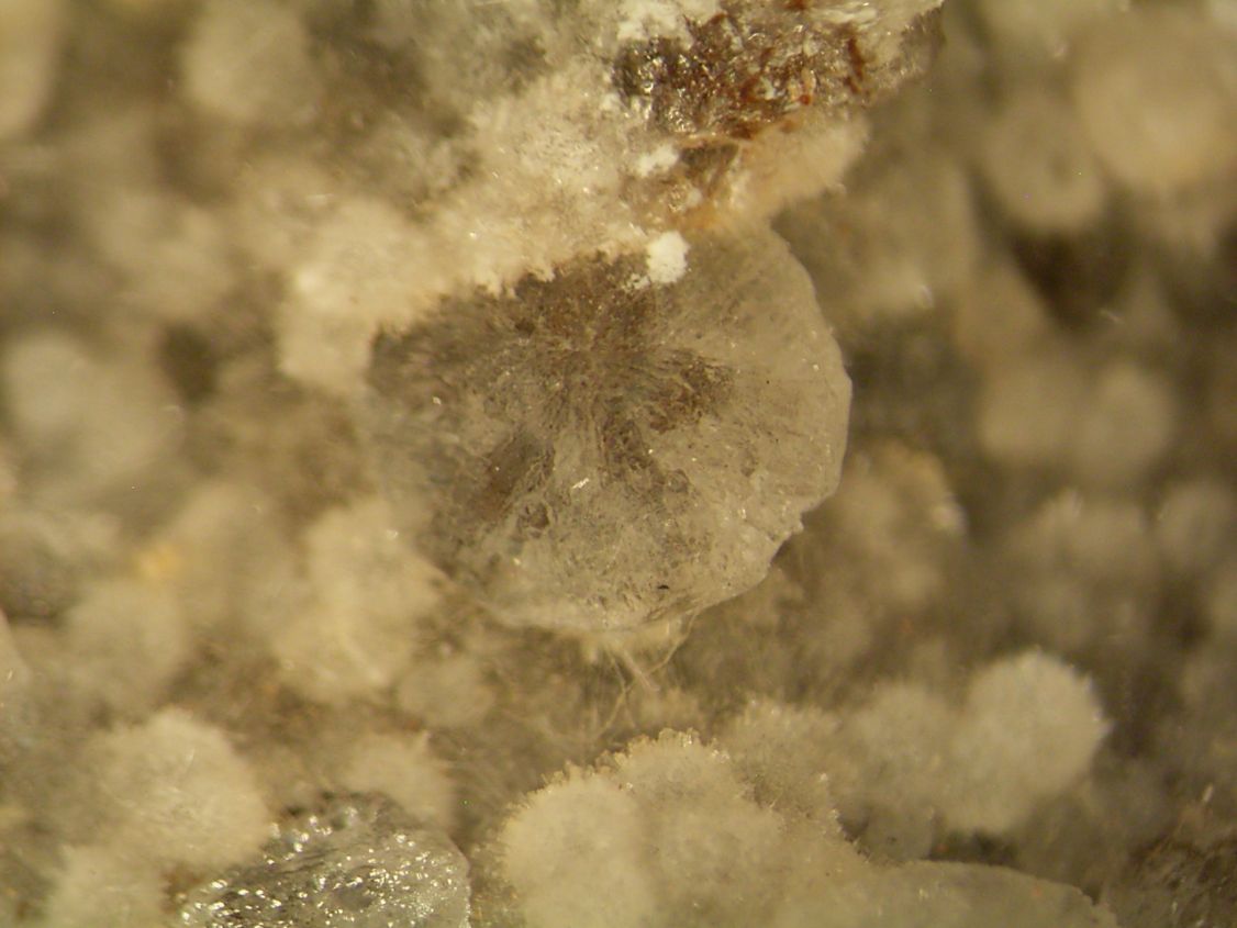 Thomsonite & Chabazite