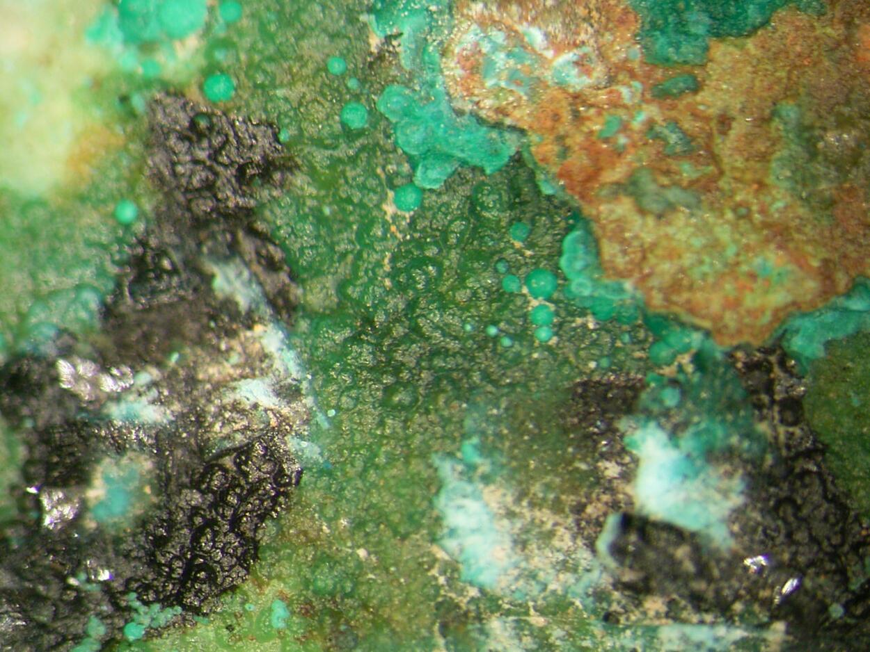 Zincolivenite & Azurite