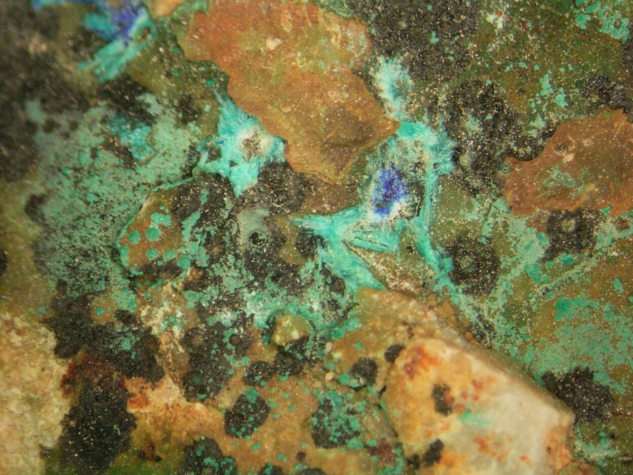 Zincolivenite & Azurite