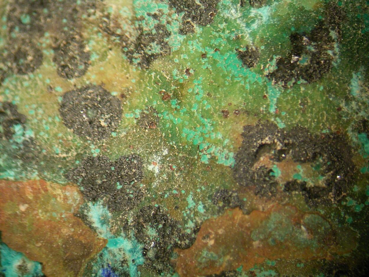 Zincolivenite & Azurite