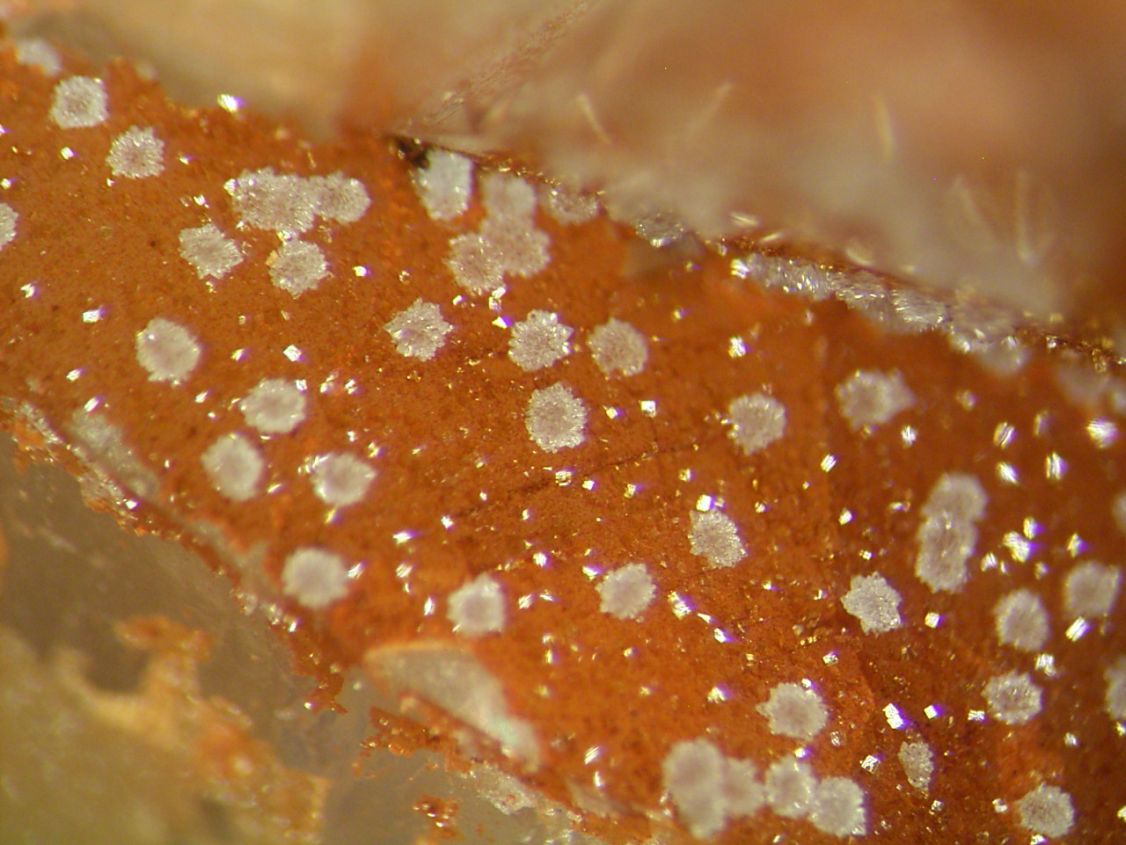 Scorodite & Bariopharmacosiderite