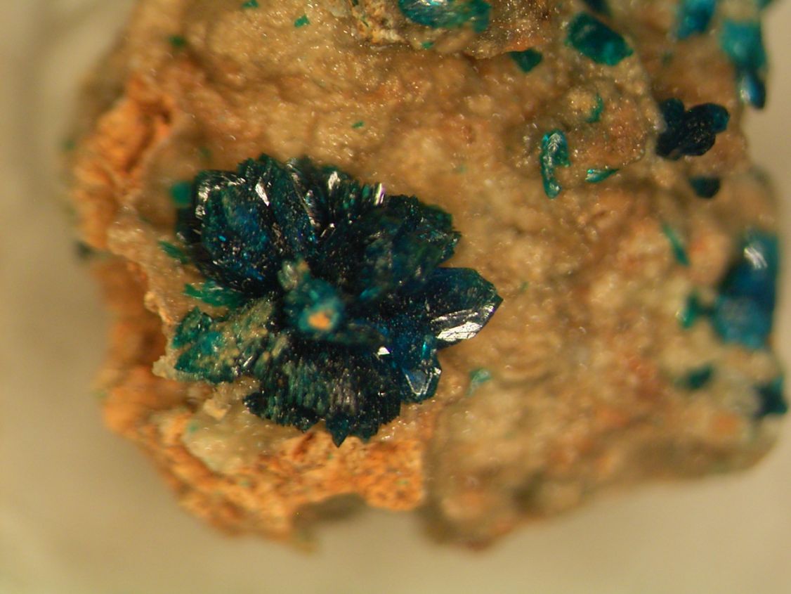 Veszelyite