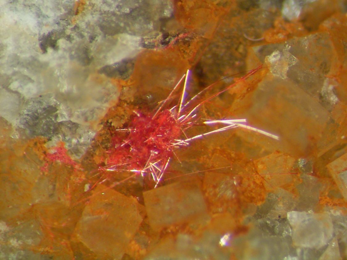 Chalcotrichite