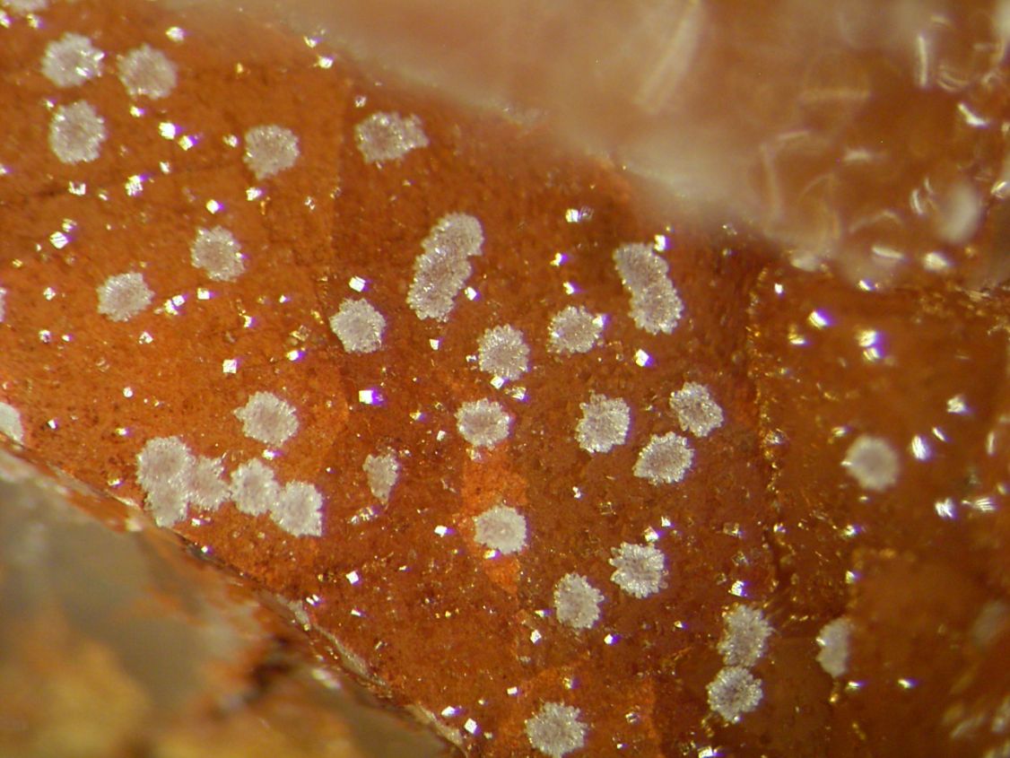 Scorodite & Bariopharmacosiderite