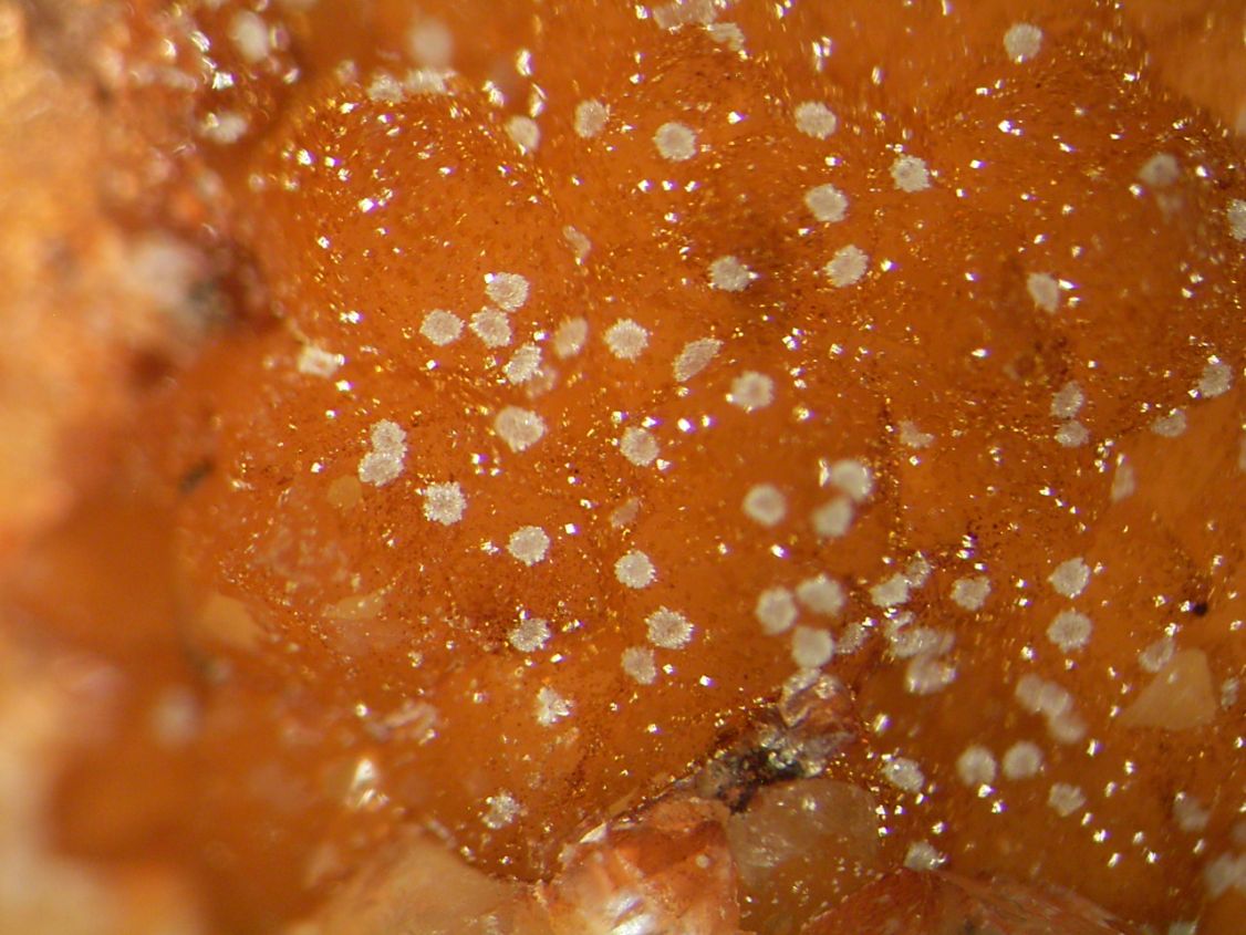 Scorodite & Bariopharmacosiderite