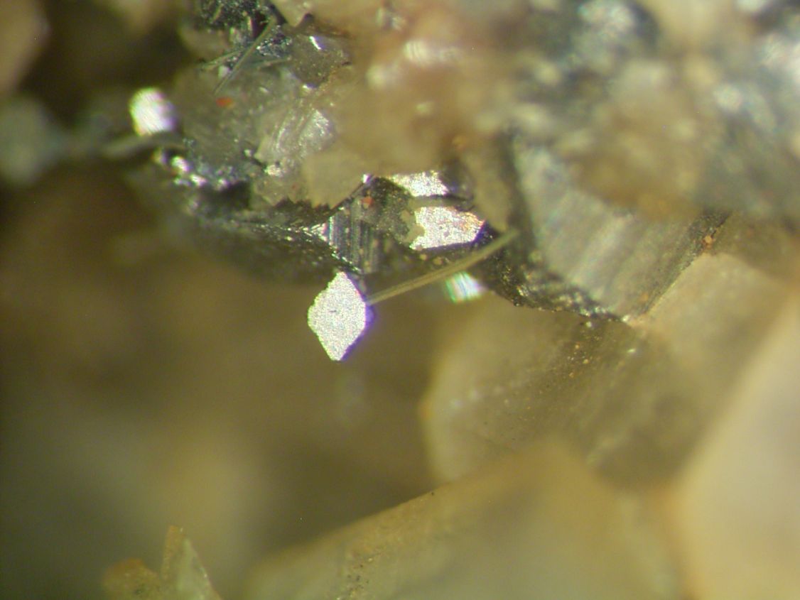 Gustavite & Arsenopyrite