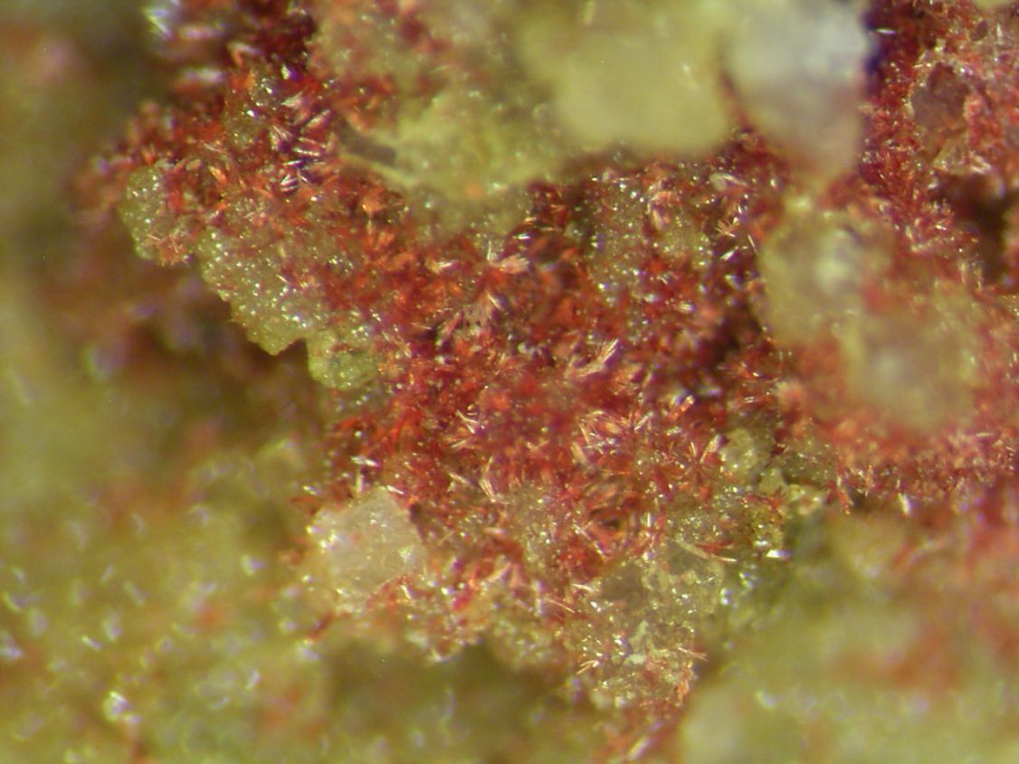 Carminite & Beudantite