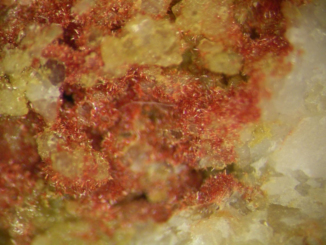 Carminite & Beudantite