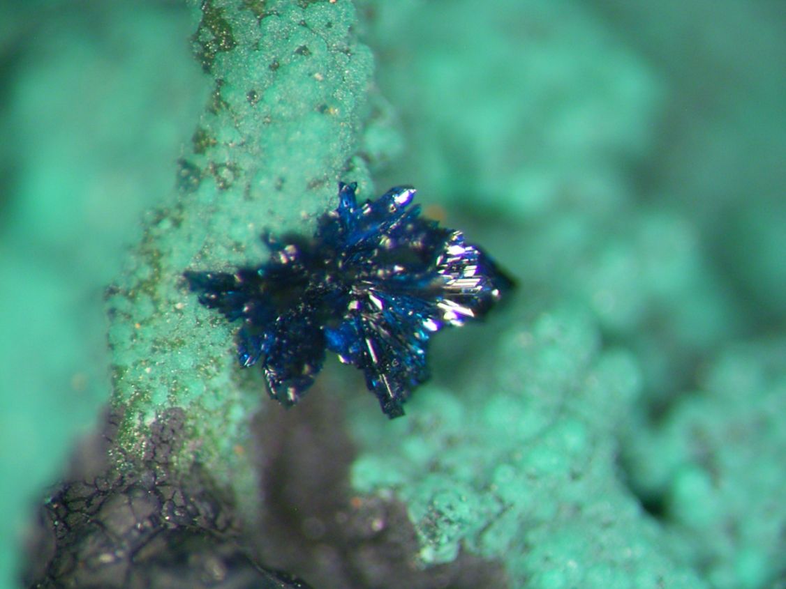 Clinoclase & Cornwallite