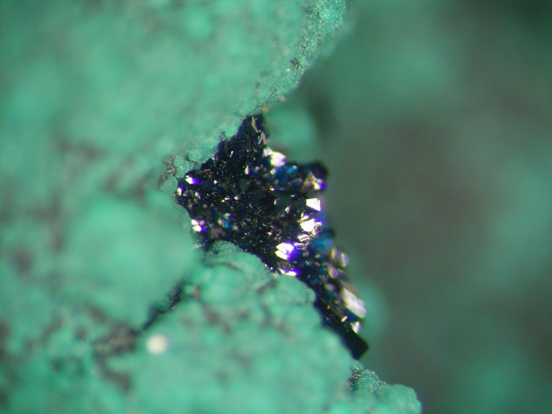 Clinoclase & Cornwallite