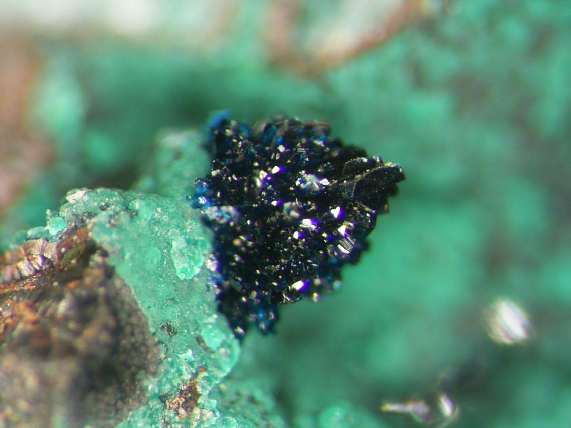 Clinoclase & Cornwallite