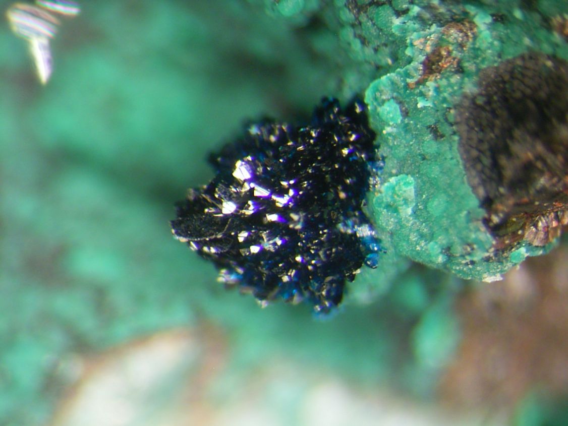 Clinoclase & Cornwallite