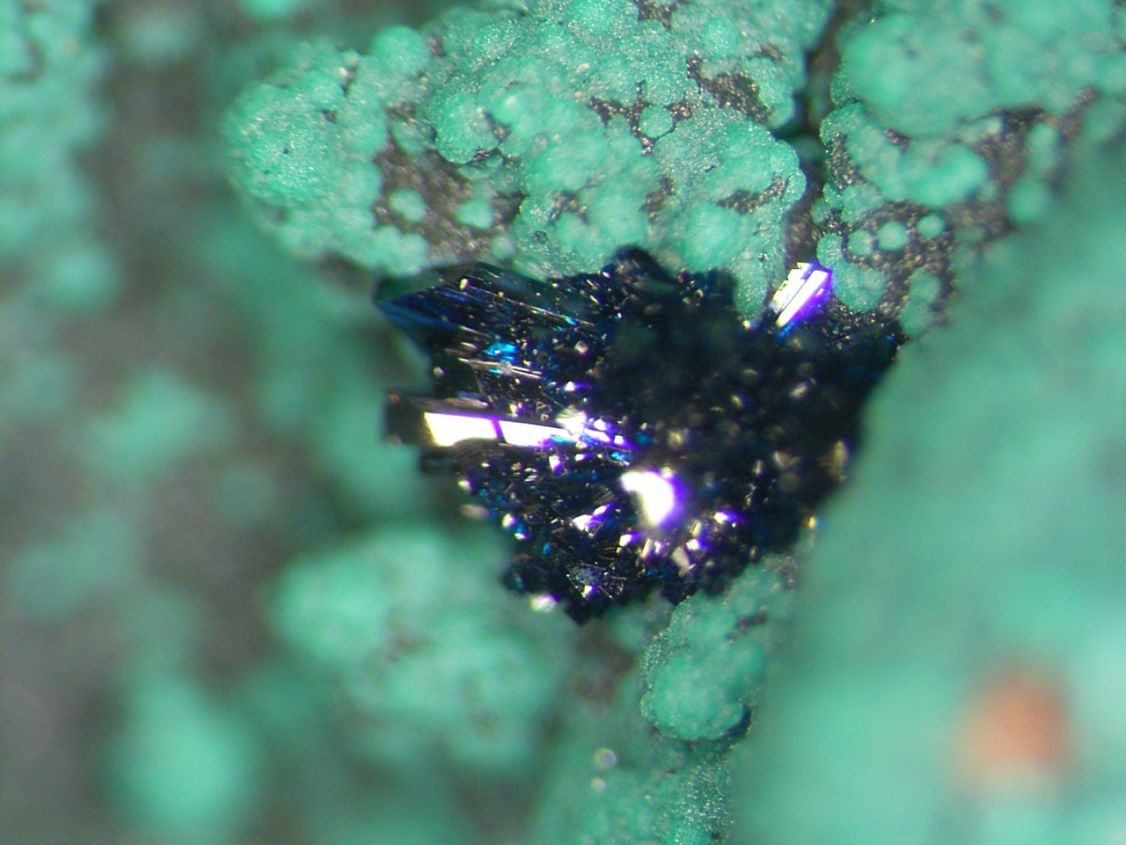 Clinoclase & Cornwallite