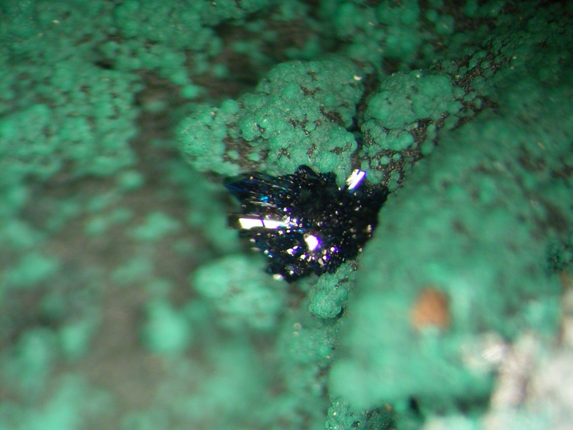 Clinoclase & Cornwallite