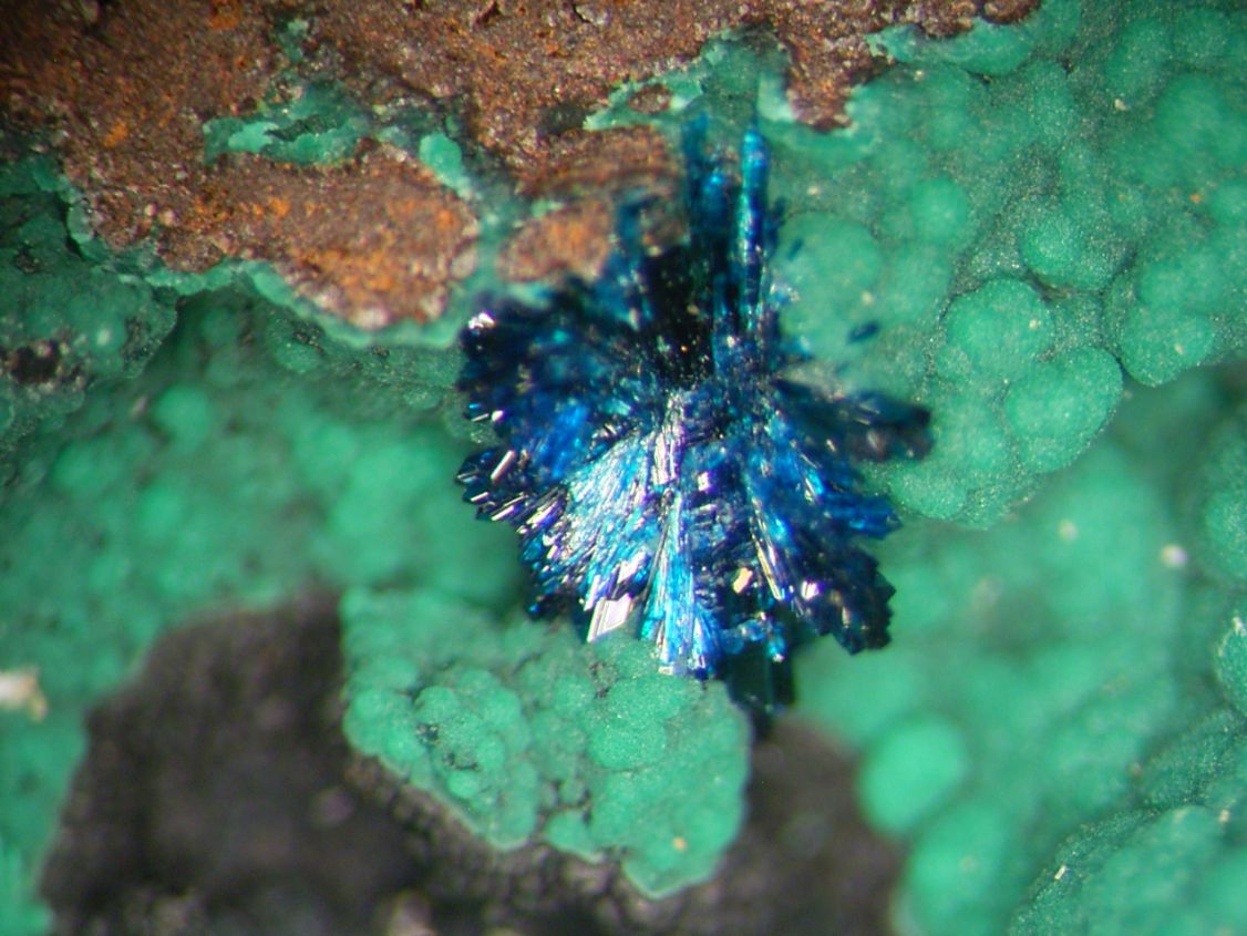 Clinoclase & Cornwallite