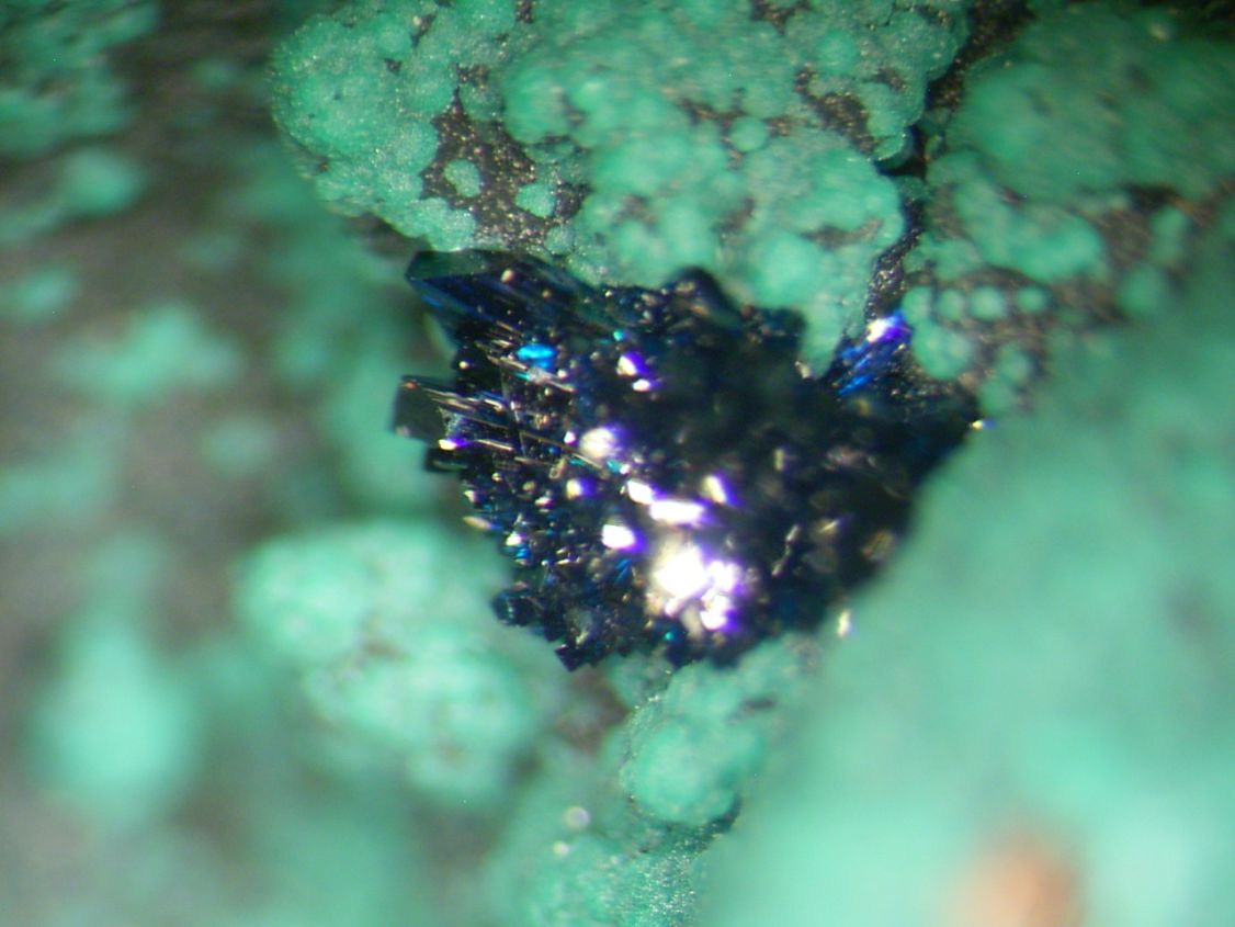 Clinoclase & Cornwallite